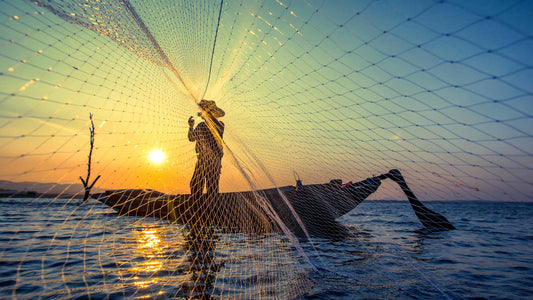 Protect Marine Life and Oceans with Sustainable Fishing Practices